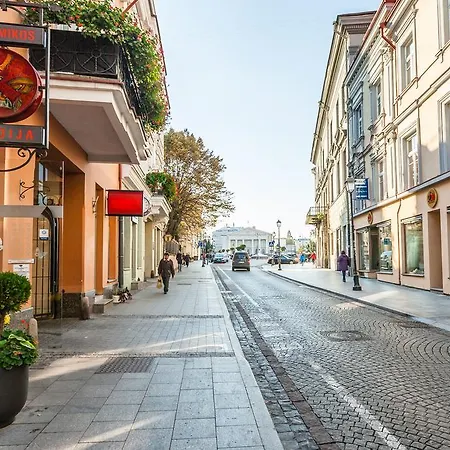Domus 247 Didzioji Street