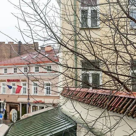Domus 247 Didzioji Street Apartment Vilnius