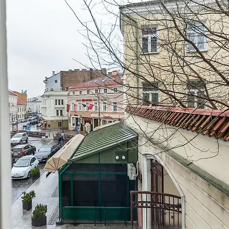 Apartment Domus 247 Didzioji Street Vilnius