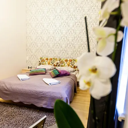 Domus 247 Didzioji Street Apartment *