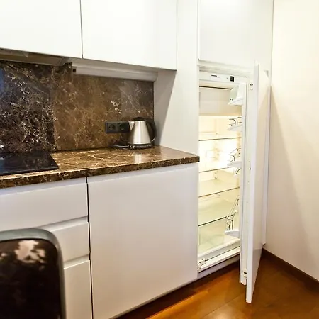 Domus 247 Didzioji Street Apartment
