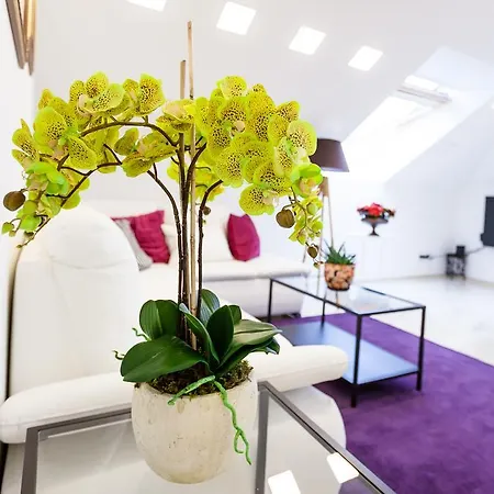 Apartment Domus 247 Didzioji Street *